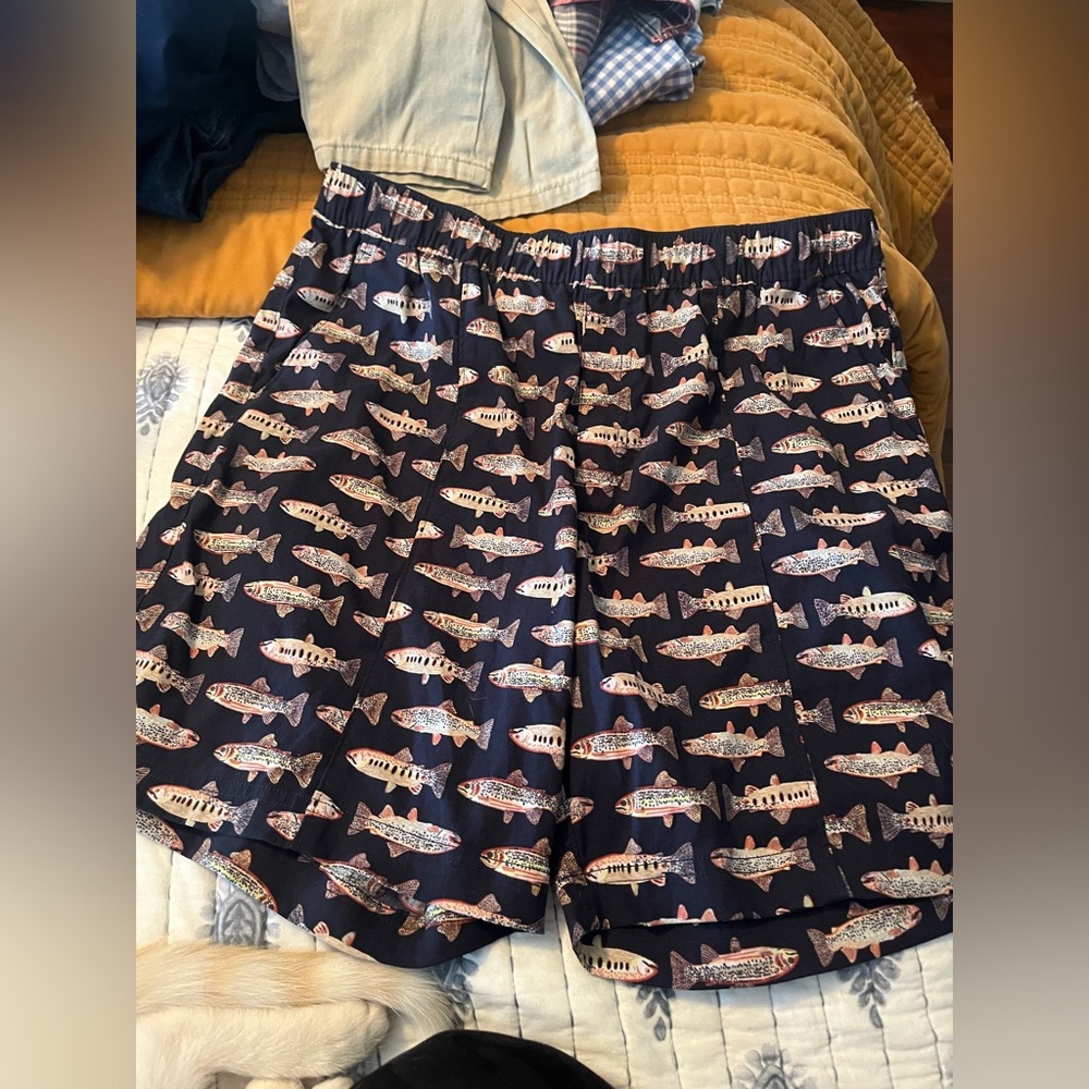 The North Face Navy Fish Swim Shorts